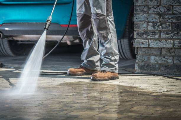 Best Roof Washing  in Clementon, NJ