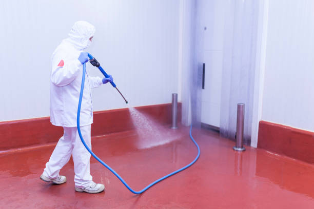 Best Building Exterior Washing  in Clementon, NJ